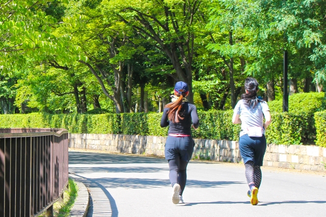 並木道を走る二人の後ろ姿