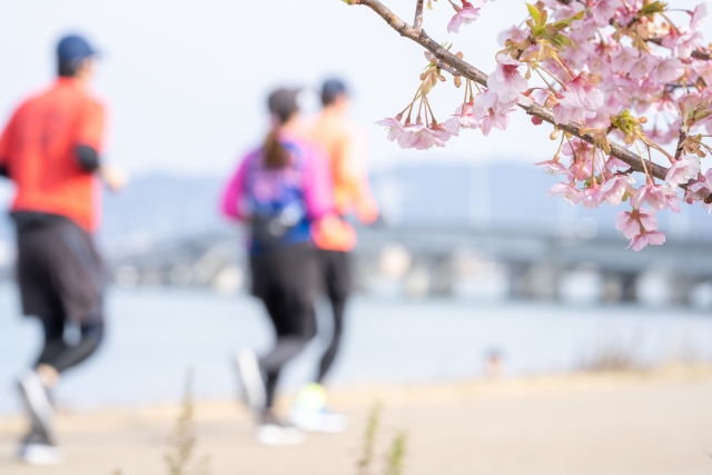 桜の咲く水辺を走るランナーたち