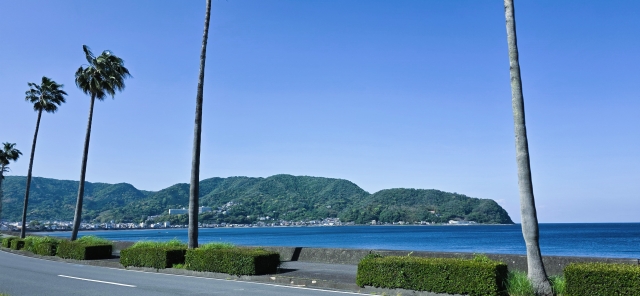 ヤシの木と青い海に沿った道