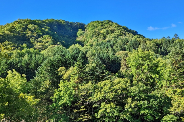 青空の下に広がる緑の山