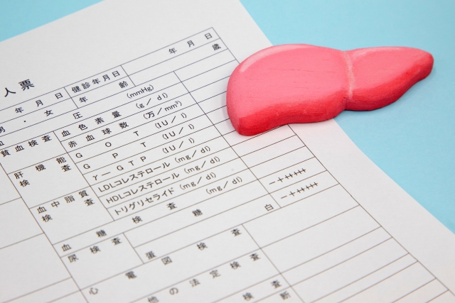 健康診断の検査票と肝臓の模型