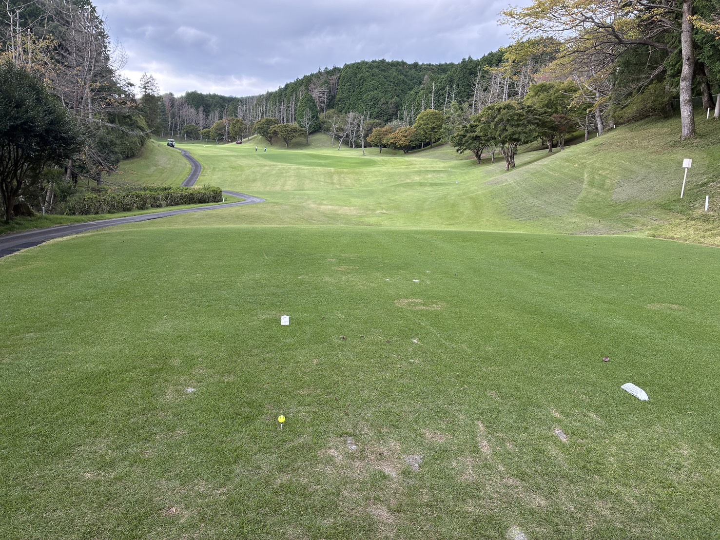 カート道のある打ち下ろしのホール