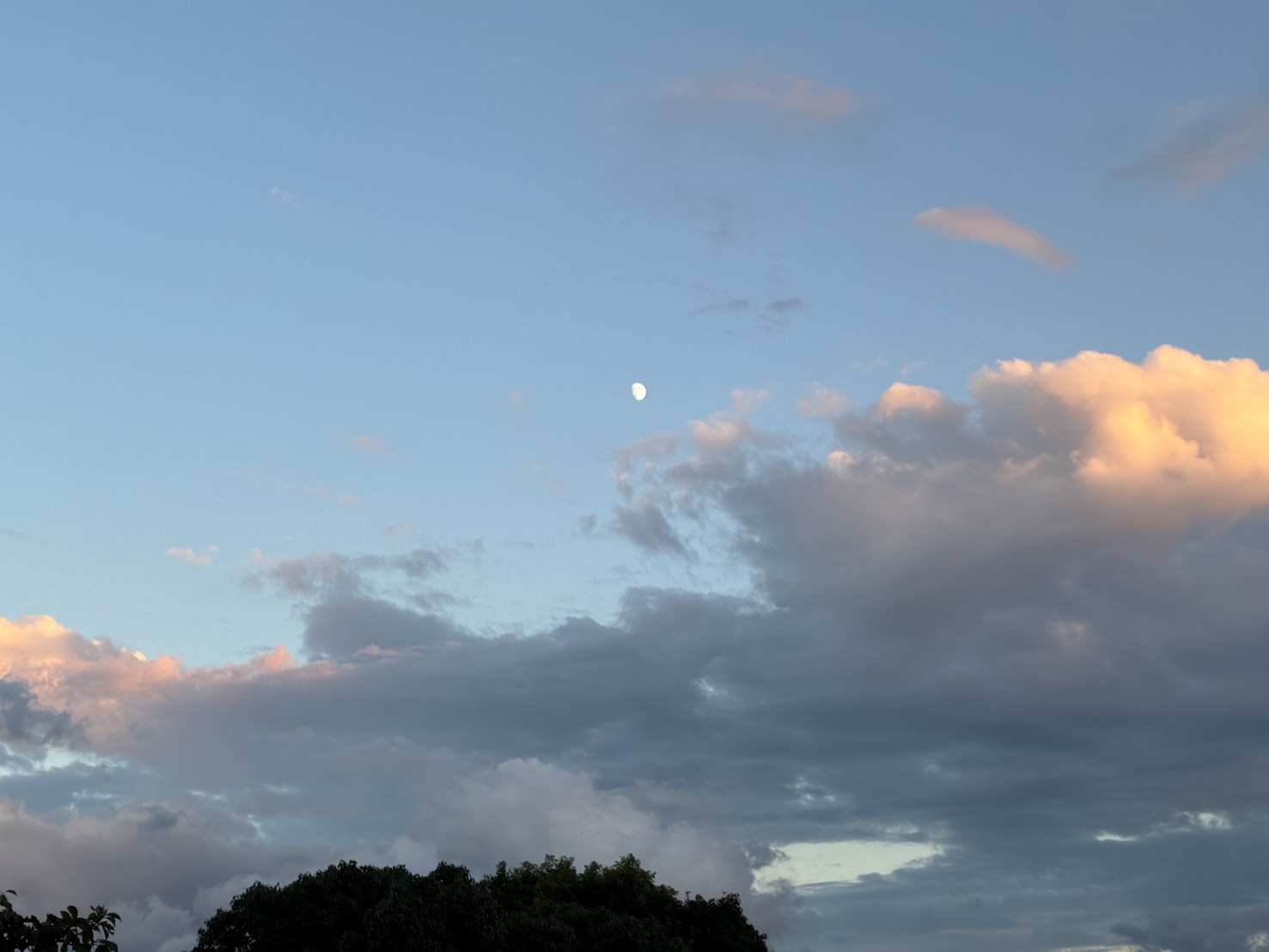 日が落ちた空に出た月